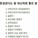 안간천 Daum카페