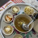 지니네 낙지 | 내돈내산 직화낙지 경희대 맛집 추천 오봉집 경희대점 들기름막국수 후기