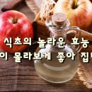 사과 식초의 놀라운 효능 이미지