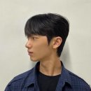 펠리아 네이버블로그