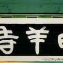 해강 이미지