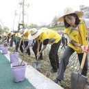 양재천 수변무대5 이미지