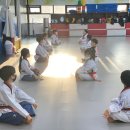 용인대다옴태권도장 이미지