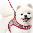 민두부