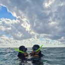 투어바인 | 멕시코 칸쿤 시크릿더바인 10분거리 알렉스 정글투어 후기(최저가 예약방법)