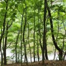 청솔식당 이미지