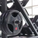 어반 피티 스튜디오 이미지