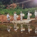예산호 Daum카페