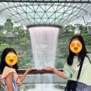 스텔라이호텔 이미지