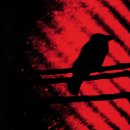 into the f 이미지