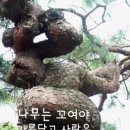 한국학생여행 이미지