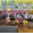 행복한부동산공인중개사사무소 이미지