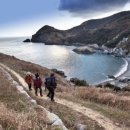 무장태양광발전소 이미지