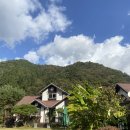 라스텔라편백숲 이미지