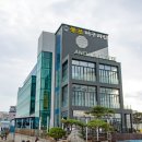 오선정반찬 | [속초맛집] 봉포머구리집, 오션뷰 물회 맛집 내돈내산 후기