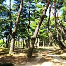 영주 소수서원 이미지