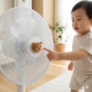 국산 아기 유아용 촘촘한 와펜 곰돌이 선풍기 안전망 50% 할인 및 교체 방법