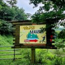 개나리낚시공원 이미지