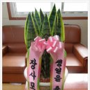 사랑의떡마을