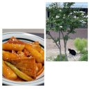 🌷오늘 점심 뭐 먹지~?🌷 이미지