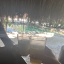 짠비어스 이미지