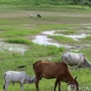 우림세탁 이미지