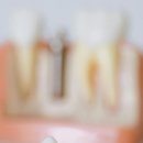 송담 M플란트치과의원 이미지