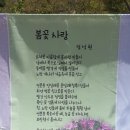 꽃은(제 6회 전국 문학인꽃 축제 2016 4.23.봄꽃 사항 시화도 있은) 이미지