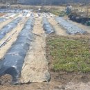 춘추농장 이미지