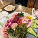 다운참치 이미지