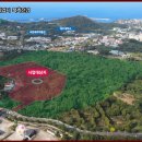 제주생활체육공원 이미지