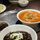 마신 매화반점 이미지