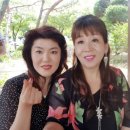 인천구치소 Daum카페