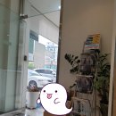 르노삼성자동차 온천점 이미지