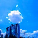 새하양세탁소 이미지