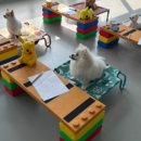 안녕 똑독아 이미지