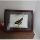 최상3학원 이미지