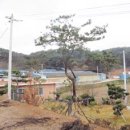 조군농장 이미지