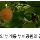 부이공원 이미지