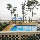 곰섬올레 이미지