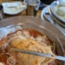 진해가야밀면 | 진해 군항제 맛집 진해가야밀면 물같은비빔 솔직후기