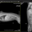 연지동물병원 이미지