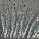 봉동농협 주유소 이미지