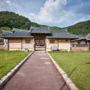 황금물결민박 | 🌲 조용한 여행지 추천: 사람 없는 국내 힐링 명소 5곳 (실제 방문 후기 중심)