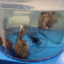 22번수산 이미지