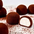 스노우즈 이미지