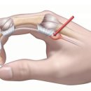 영광수지 이미지