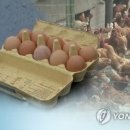 지현농장 이미지