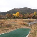 징검다리 이미지