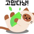 여주-0859 네이버블로그